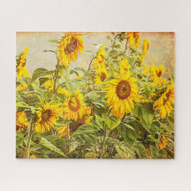 Zonnebloem  Antiek geelbloem