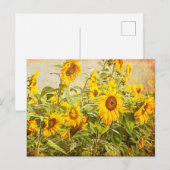 Zonnebloem  Antiek gele kunst Briefkaart (Voorkant / Achterkant)