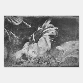 Zonnebloem  Antiek, zwart en wit Inpakpapier Vel