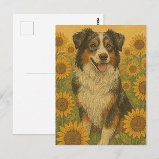 Zonnebloem Australian Shepherd Briefkaart (Voorkant / Achterkant)