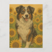 Zonnebloem Australian Shepherd Briefkaart (Voorkant)