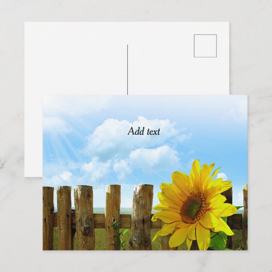 Zonnebloem Beauty Sjabloon Briefkaart (Voorkant / Achterkant)