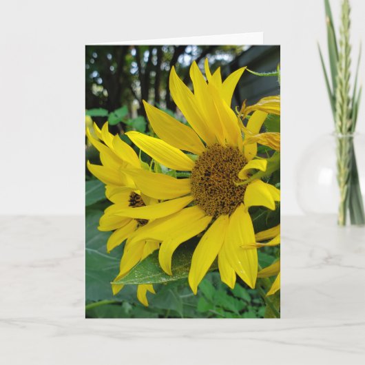 Zonnebloem Bedankkaart (Voorkant)