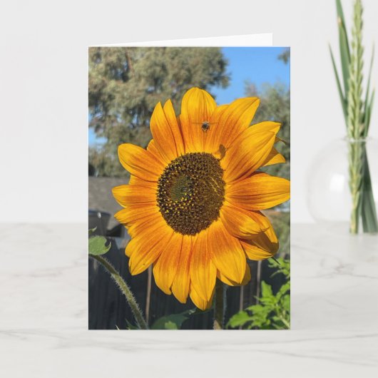 Zonnebloem Bedankkaart (Voorkant)