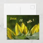 Zonnebloem Bedankkaart Briefkaart (Voorkant / Achterkant)