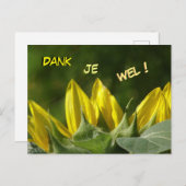 Zonnebloem Bedankkaartje Briefkaart (Voorkant / Achterkant)
