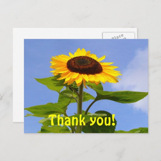 ZONNEBLOEM BEDANKT ~ BRIEFKAART (Voorkant / Achterkant)