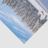 Zonnebloem, Beer, plakpapier Tissuepapier (Detail)