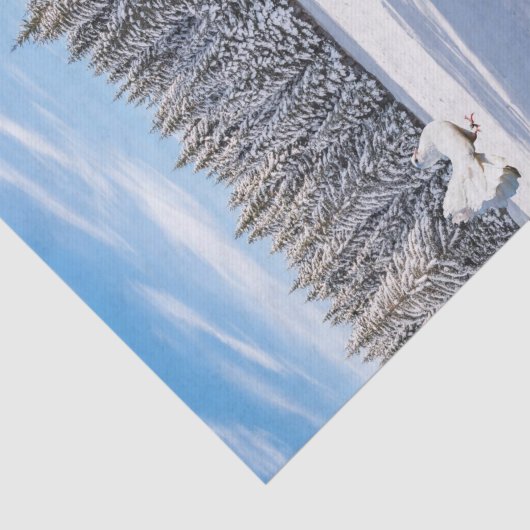 Zonnebloem, Beer, plakpapier Tissuepapier (Detail)