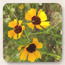 Zonnebloem