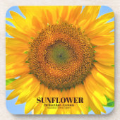 zonnebloem bier onderzetter (Voorkant)