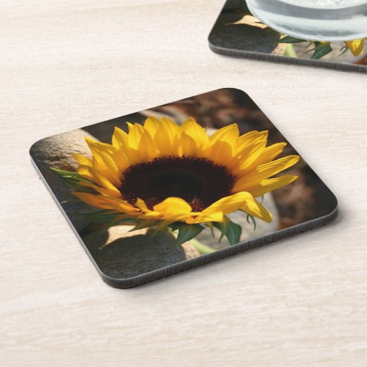 Zonnebloem Bier Onderzetter (Linkerzijde)