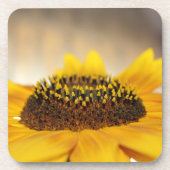 Zonnebloem Bier Onderzetter (Voorkant)