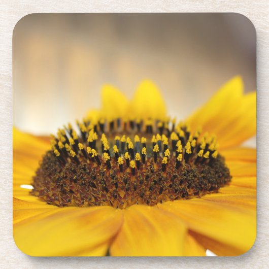 Zonnebloem Bier Onderzetter (Voorkant)