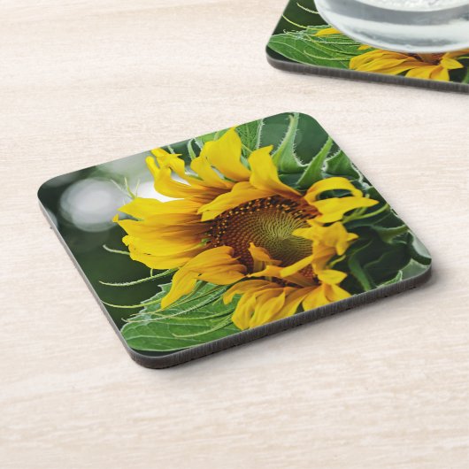 Zonnebloem Bier Onderzetter (Linkerzijde)