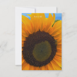 Zonnebloem, bij & hemel notitiekaartje