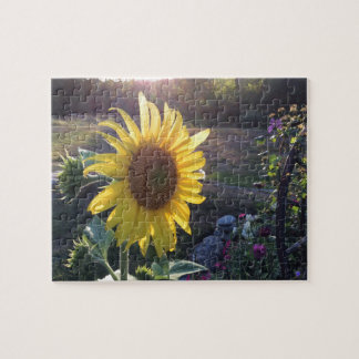 Zonnebloem bij zonsondergang — legpuzzel