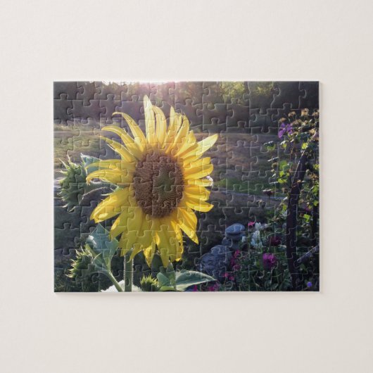 Zonnebloem bij zonsondergang — legpuzzel (Horizontaal)