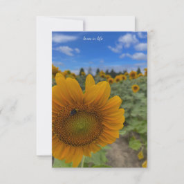 Zonnebloem-, bijen- en blauwe luchten notitiekaartje