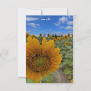Zonnebloem-, bijen- en blauwe luchten notitiekaartje