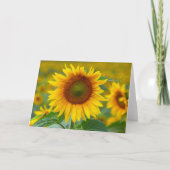 Zonnebloem Blanco noot Kaart (Voorkant)