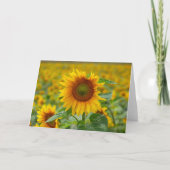 Zonnebloem Blanco noot Kaart (Voorkant)