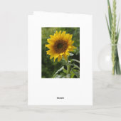 Zonnebloem Blanco noot Kaart (Achterkant)