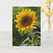 Zonnebloem Blanco noot Kaart (Gele Bloem)