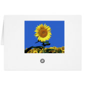 Zonnebloem Blank kaartje voor de groet (Achterkant Horizontaal)