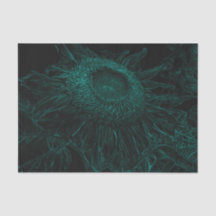 Zonnebloem Blauwgroen Groen Zwart Bloemenkunst Dec