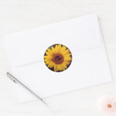 Zonnebloem Bloei met Bumble Bee Insect Ronde Sticker (Envelop)