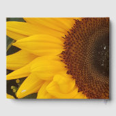 Zonnebloem Bloemen Fotografie Guestbook Gastenboek (Achterkant)