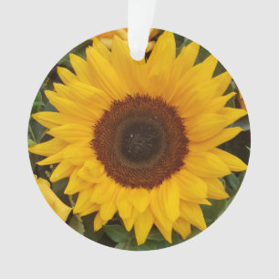 Zonnebloem Bloemen Fotografie Ornament
