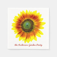 Zonnebloem Bloemen Geel Bloemen Tuin Party