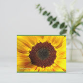 Zonnebloem | Blue Beach Song™-Briefkaart Briefkaart (Staand voorkant)