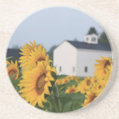 Zonnebloem Boerderij Zandsteen Onderzetter (Voorkant)