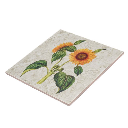 Zonnebloem  Botanisch Tegeltje (Zijkant)