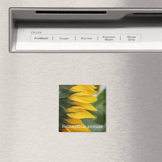 Zonnebloem Botanische Magneet (Insitu (Vaatwasser))