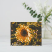 Zonnebloem Brief Kaart Communicatie Post (Staand voorkant)