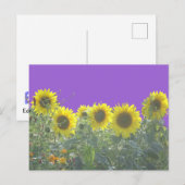 Zonnebloem, Briefkaart (Voorkant / Achterkant)