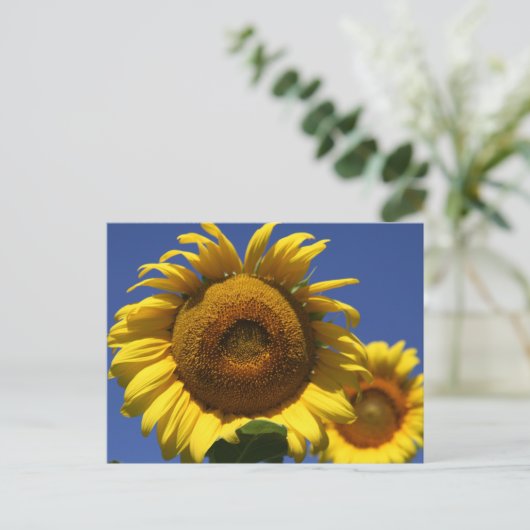Zonnebloem Briefkaart (Staand voorkant)