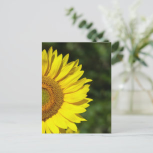 Zonnebloem Briefkaart