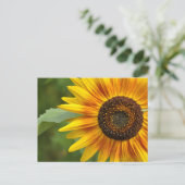 Zonnebloem Briefkaart (Staand voorkant)