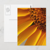 Zonnebloem Briefkaart (Voorkant / Achterkant)