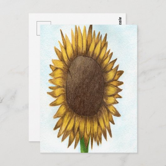  zonnebloem briefkaart (Voorkant / Achterkant)