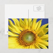 Zonnebloem Briefkaart (Voorkant / Achterkant)