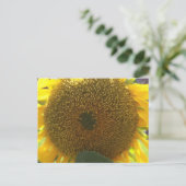 Zonnebloem Briefkaart (Staand voorkant)