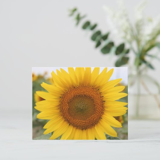 Zonnebloem Briefkaart (Staand voorkant)