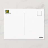 Zonnebloem Briefkaart (Achterkant)