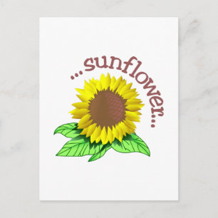 Zonnebloem Briefkaart